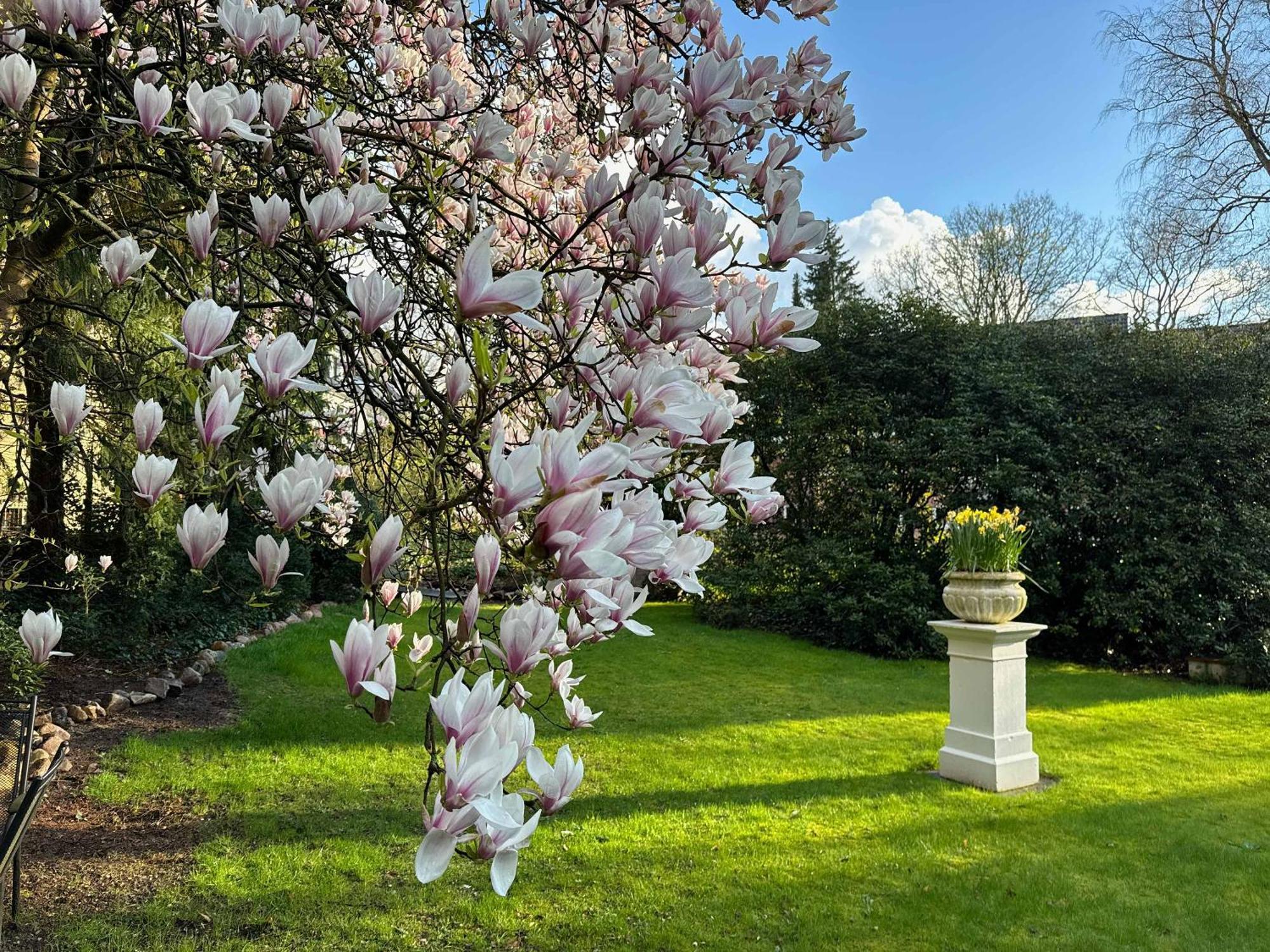Hotel Rosengarten Hamburg-Harburg Exteriör bild